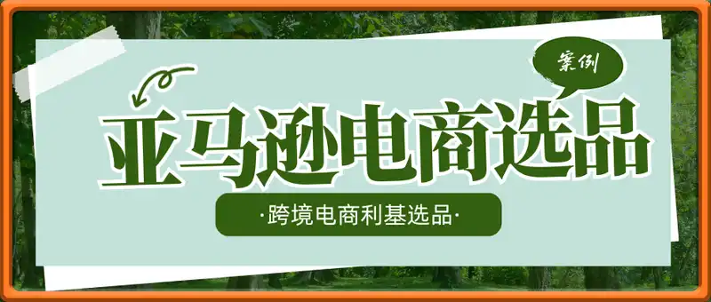 亚马逊跨境电商选品案例(更新2025年4月)，跨境电商利基选品