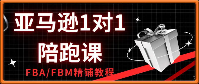 亚马逊1对1陪跑课(FBA/FBM精铺)跨境亚马逊教程