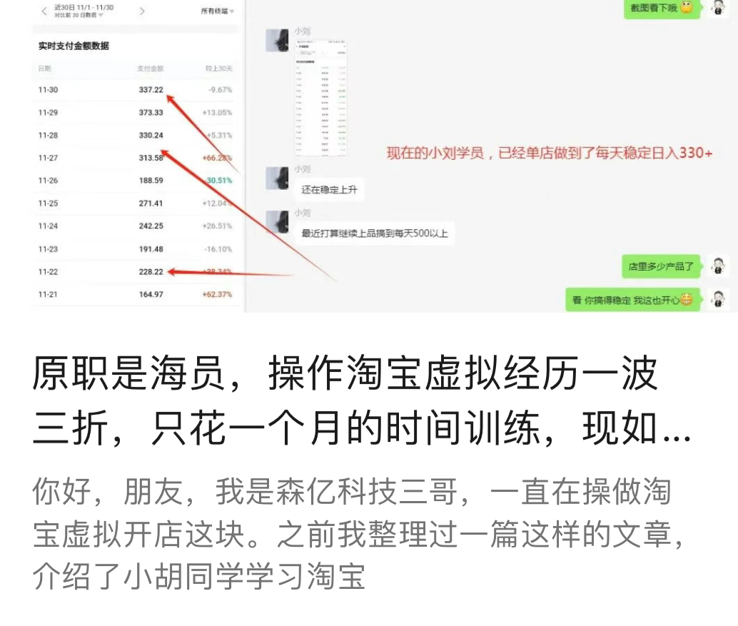 森亿淘宝虚拟电商