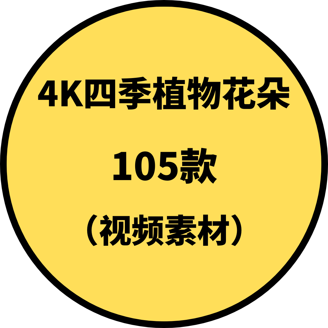 4K四季植物花朵（视频素材）
