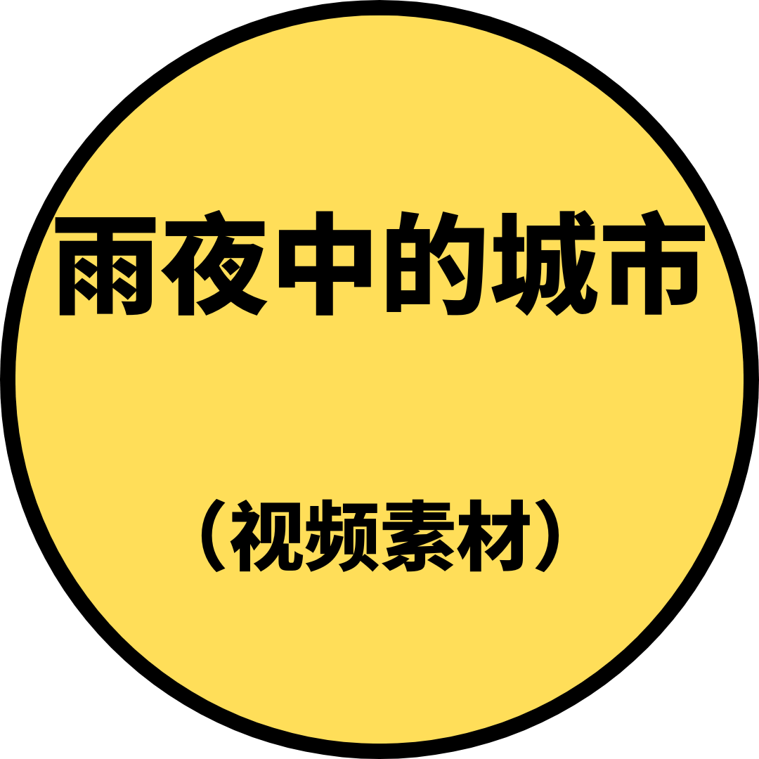 雨夜中的城市(视频素材)
