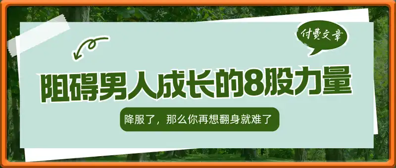 付费文章：阻碍男人成长的8股力量