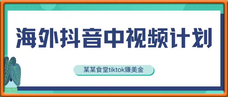 某某食堂海外抖音中视频计划，tiktok赚美金