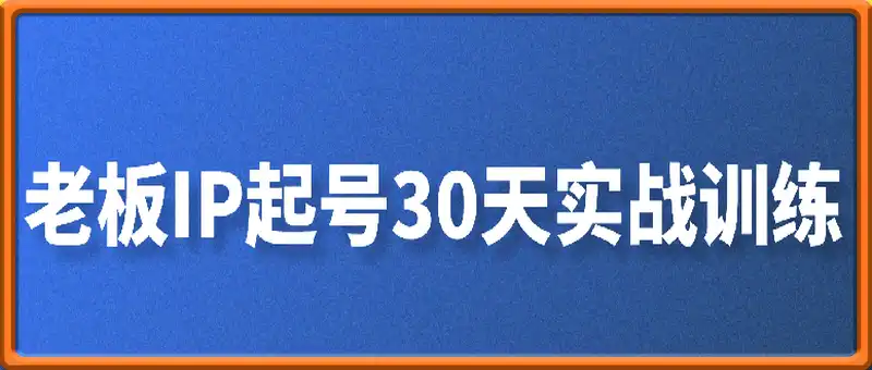 老板IP起号30天实战训练(价值2980元）