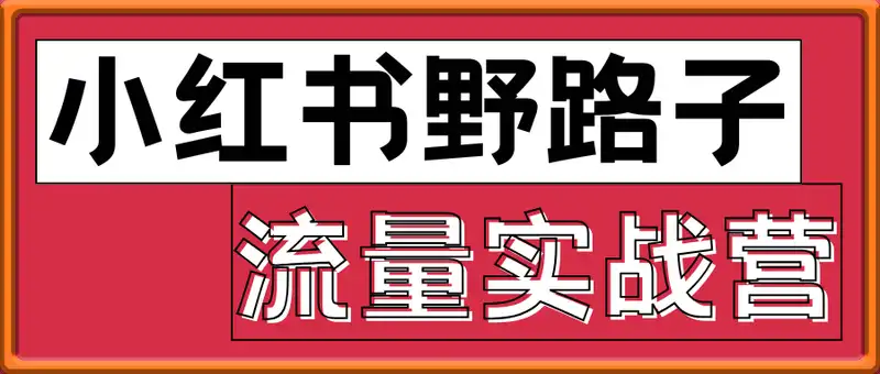 小红书野路子流量实战营：低粉高变现定位 对标账号精准分析 内容生产提效