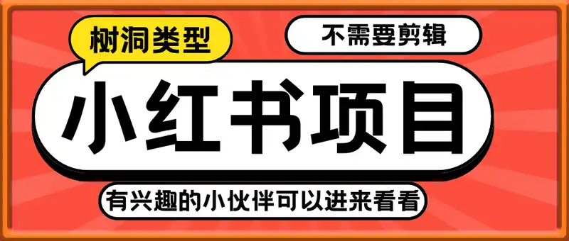 小红书项目，不需要剪辑