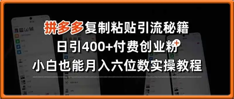 拼多多复制粘贴引流，日引400+付费创业粉