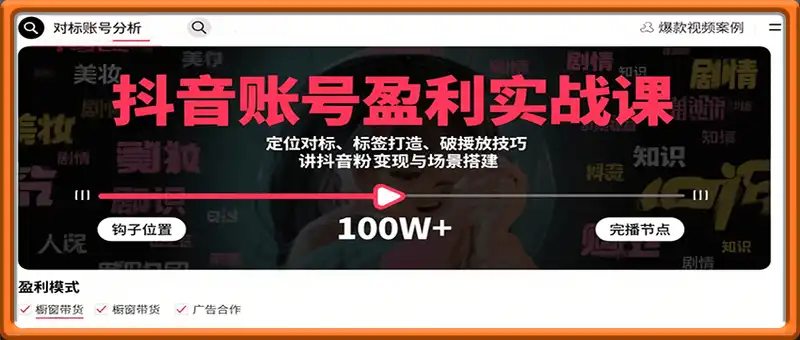 抖音账号盈利实战课，定位对标、标签打造、破播放技巧，讲涨粉变现与场景搭建