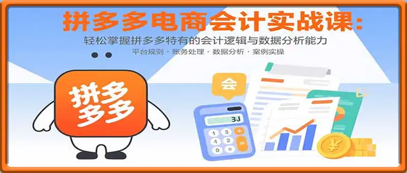 拼多多电商会计实战课：轻松掌握拼多多特有的会计逻辑与数据分析能力