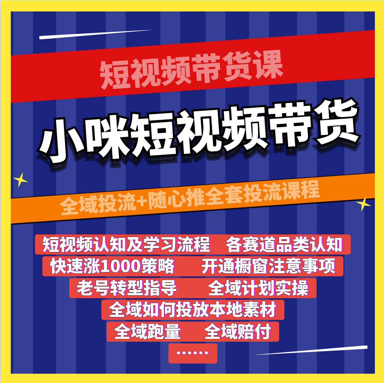 短视频带货课：全域投流+随心推