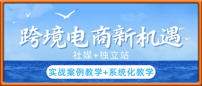 跨境电商新机遇，社媒+独立站，实战案例教学+系统化教学
