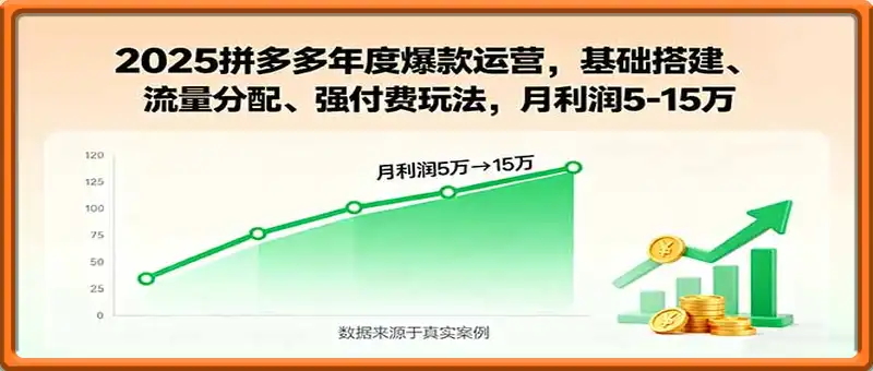 2025拼多多年度爆款运营，基础搭建、流量分配、强付费玩法，月利润5-15万