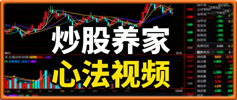 炒股养家心法视频