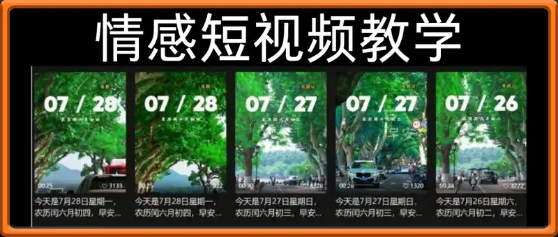 情感短视频教学，蓝海赛道，涨粉快，收益高，手把手教会你，零基础必备