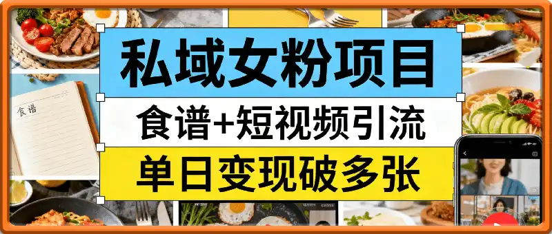私域女粉项目！食谱+短视频引流，单日变现破多张，小白照搬不踩坑