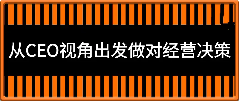 lisa【商业思维】从CEO视角出发做对经营决策
