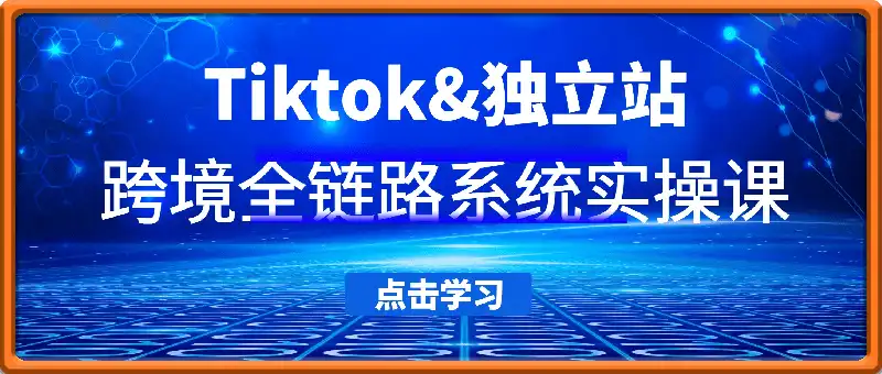 Tiktok&独立站：跨境全链路系统实操课