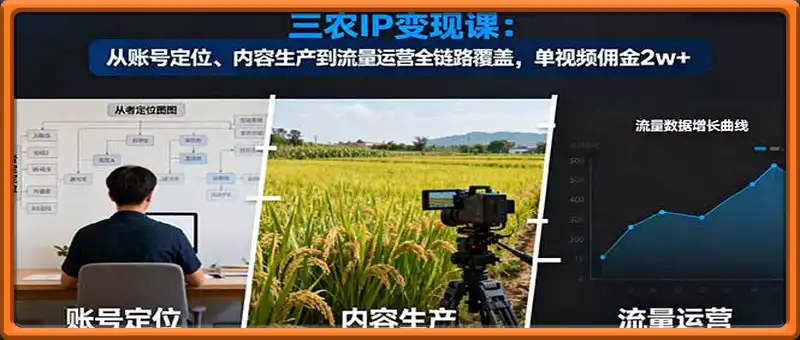 三农IP变现课：从账号定位、内容生产到流量运营全链路覆盖，单视频佣金2w+