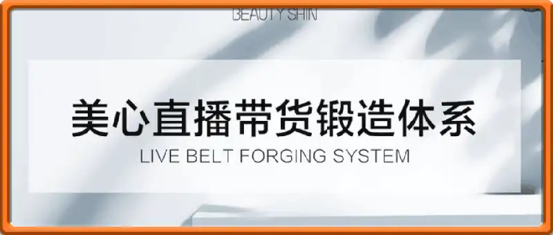 直播带货锻造体系课