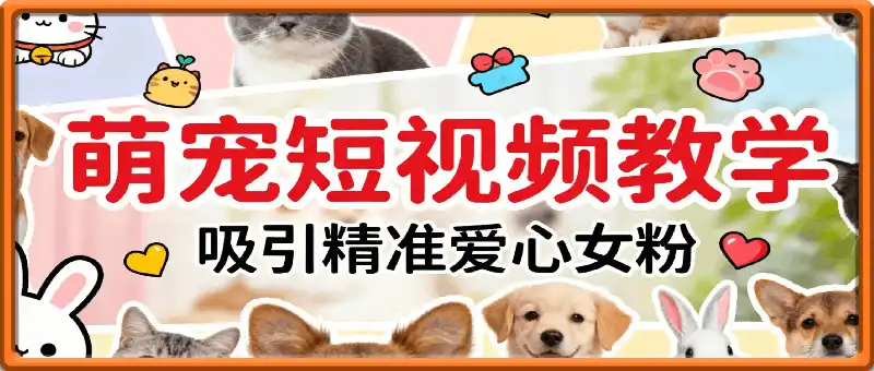 萌宠短视频教学，吸引精准爱心女粉