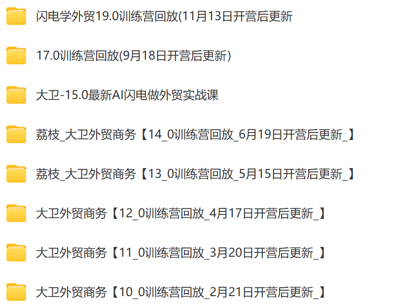 大卫·AI闪电做外贸训练营合集
